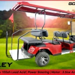 Electric, Golf Cart | 2+4 seater with Power steering | 60v 100ah battery operated | golf car