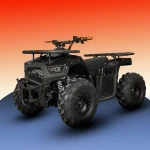 Phantom ATV 48V Electric atv india | with high power BLDC motor 1000W | head lights | electric Key start