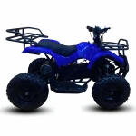 Electric Atv for kids ride on | Quad Bull Model | 36V 500W | Age group 6 to 12 year