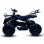 Electric Atv for kids ride on | Quad Bull Model | 36V 500W | Age group 6 to 12 year