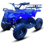 Electric Atv for kids ride on | Quad Bull Model | 36V 500W | Age group 6 to 12 year