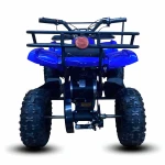 Electric Atv for kids ride on | Quad Bull Model | 36V 500W | Age group 6 to 12 year