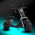 Coco Electric Scooter Powerful 60V 12Ah Lithium Battery for adult